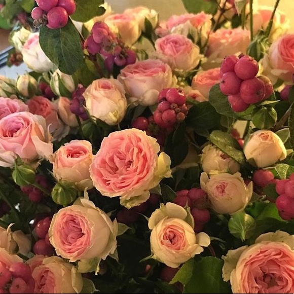 Meet your Posher, Taina - Picture 3 of 6